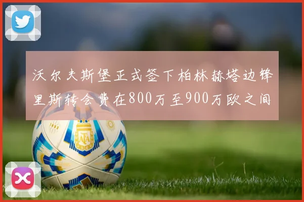 沃尔夫斯堡正式签下柏林赫塔边锋里斯转会费在800万至900万欧之间